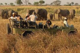 Top 5 National parks to visit in Uganda in 2023