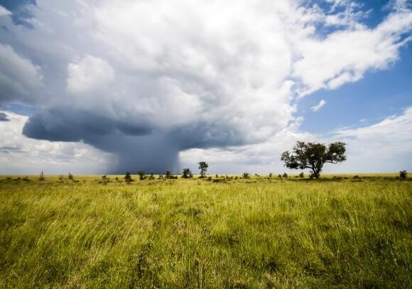 THE WEATHER AND CLIMATE SEASONS IN UGANDA