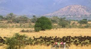 Kidepo Valley National Park