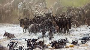 The Great Migration (East Africa)